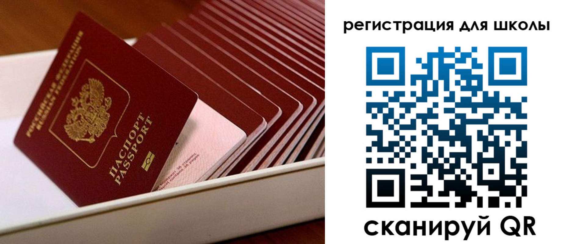 прописка гарантия в Нерехте